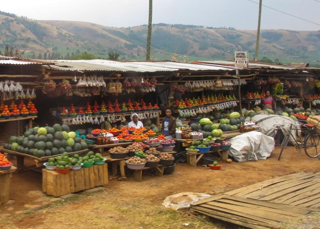 Uganda Gorilla Safari