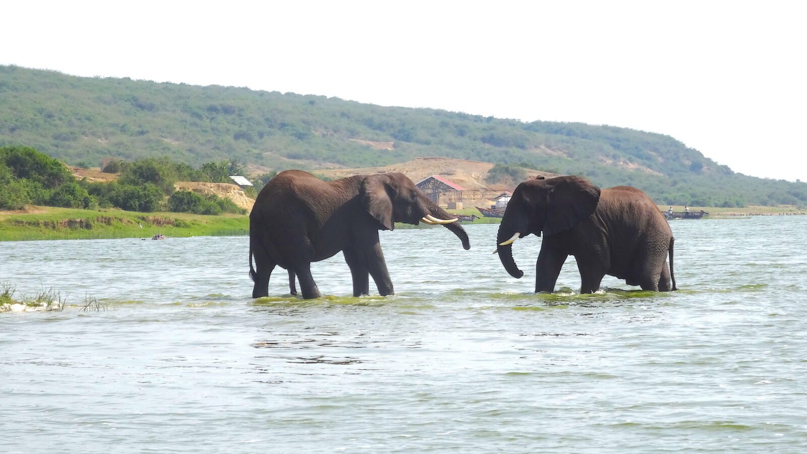 The Tourism Channel in Uganda