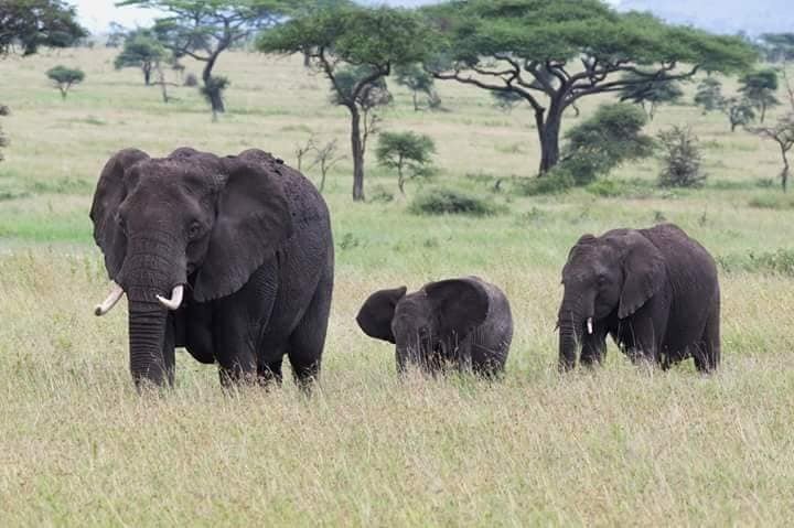 Solo traveler in Uganda
