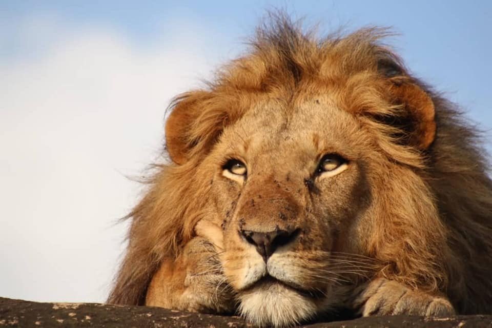 3 Days Murchison Falls
