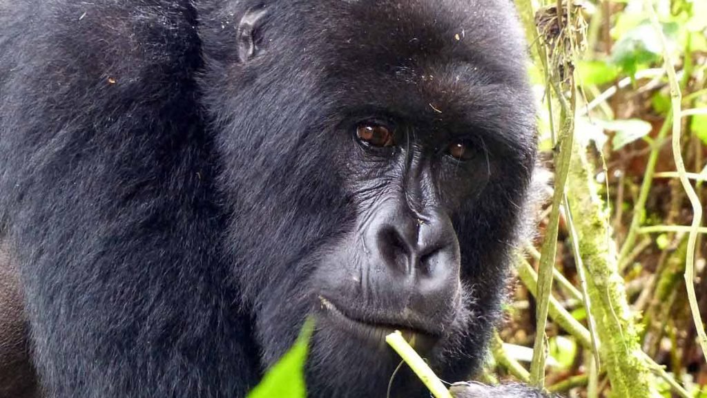 Why you need to visit East Africa?