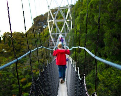 9 Days Best Of Rwanda Safaris
