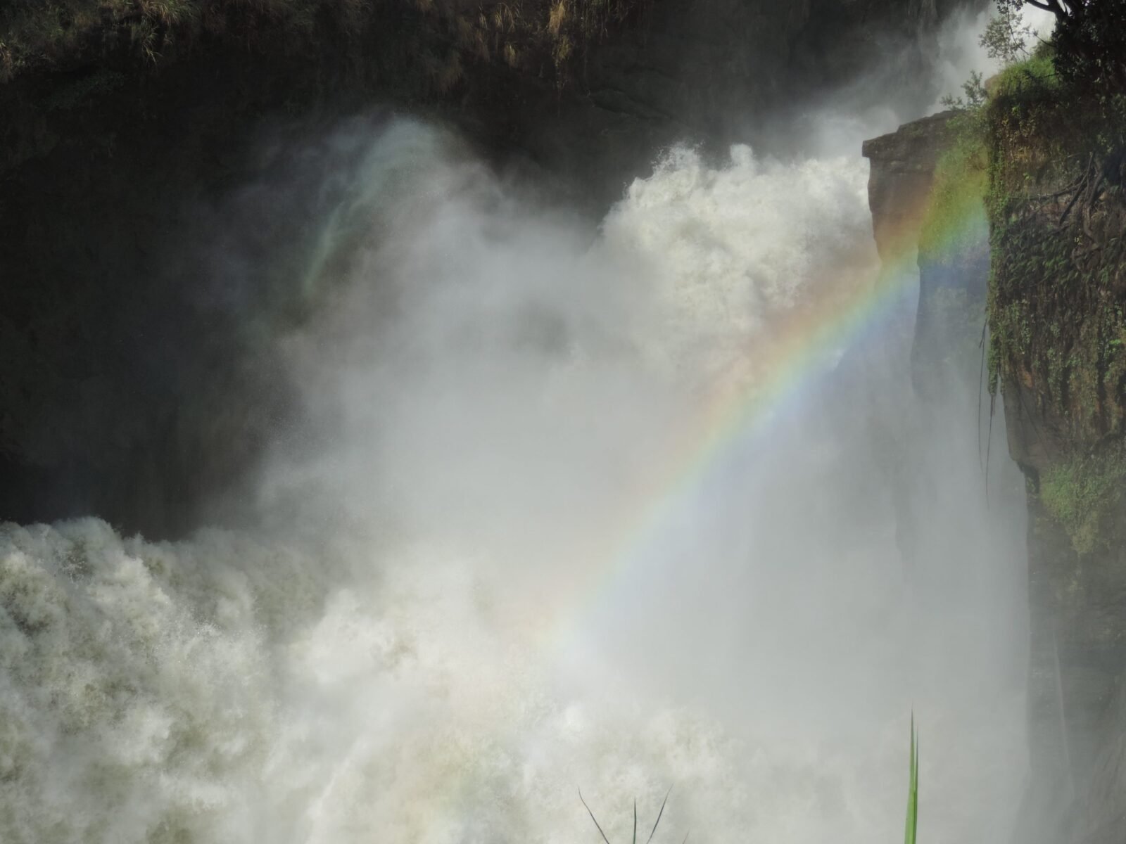 Why you should visit Uganda