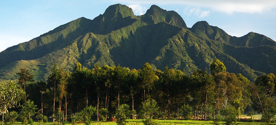best time of year for gorilla trekking in Rwanda