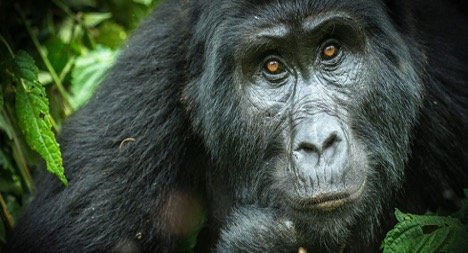 How safe is Rwanda?