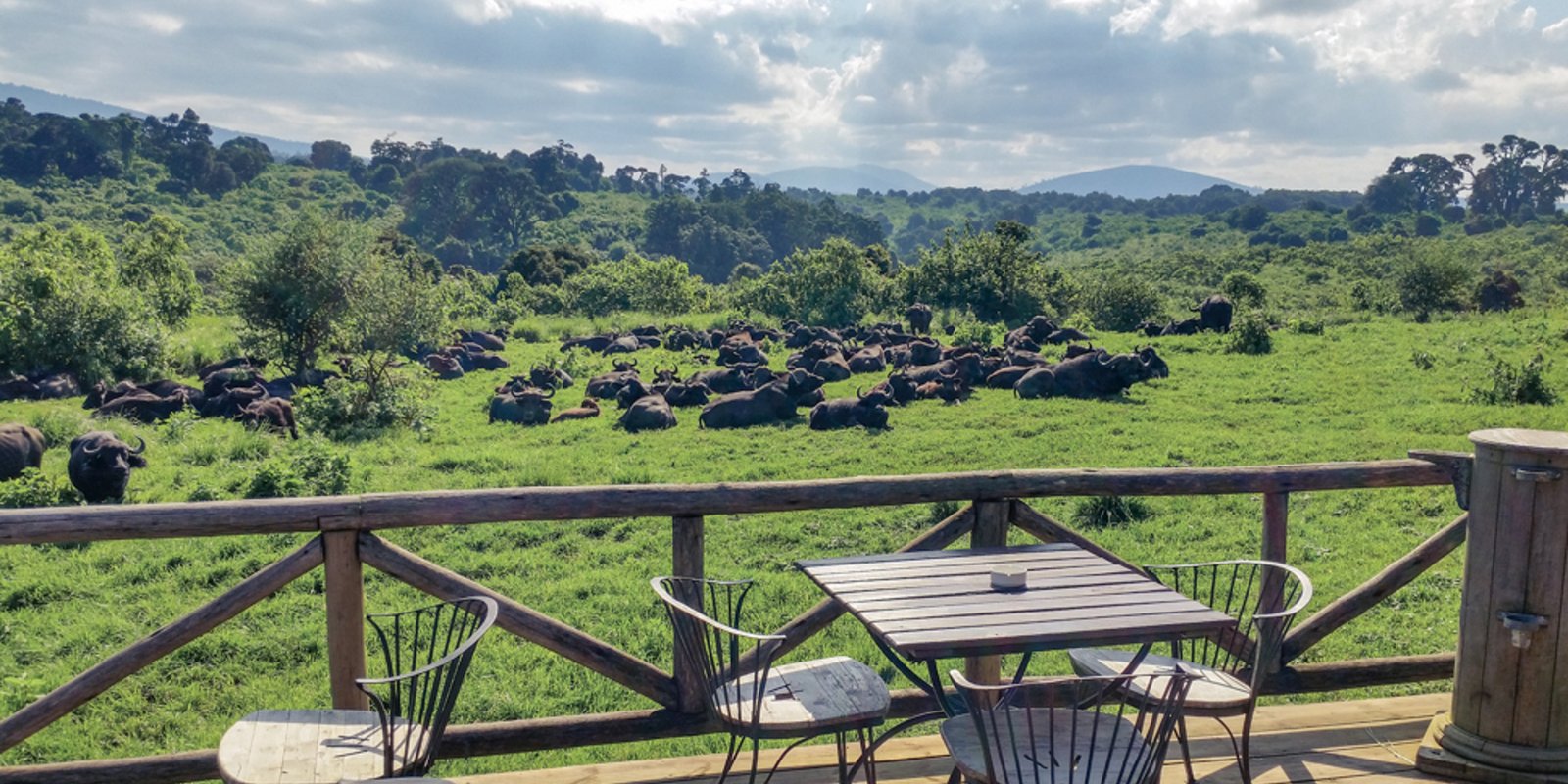 Mkomazi Rhino Lodge