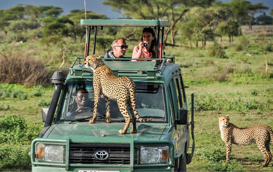 Tanzania Safaris